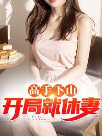高手下山：开局就休妻封面